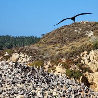 Photo taken at Point Lobos State Reserve by Alex L. on 10/11/2023