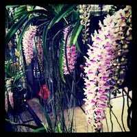 Photo taken at LukMai Orchid Nursery 1 (Thon Buri Market) ^^ by Krisda J. on 4/17/2011