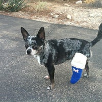 Photo taken at Queen Creek Veterinary Clinic by H S. on 9/1/2012