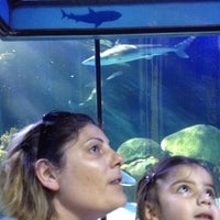 Photo taken at Shark Adventure by Cenk U. on 7/4/2012