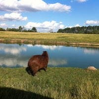 Photo taken at Pampas Safari by Keyth H. on 5/6/2012