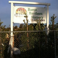Baron Brothers Nursery Flower Photo Taken At Baron Brothers Nursery By Janel S On 4 2017