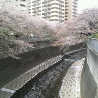 Photo taken at 神田川 東中野～小滝橋 by 陸 杉. on 4/13/2012