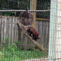 Photo taken at Binghamton Zoo at Ross Park by Jamie on 6/13/2012