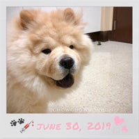 Foto tirada no(a) Overland Veterinary Clinic por 💕i /@yumyum.in.the.tumtum em 7/2/2019