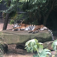 Photo taken at Adelaide Zoo by Leonardo on 12/30/2019