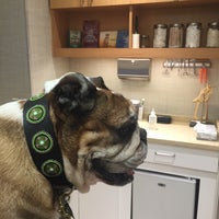 Photo taken at Chelsea Animal Hospital by Robert on 8/29/2015