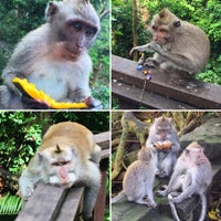 Photo taken at Sacred Monkey Forest Sanctuary by Colan N. on 12/30/2016