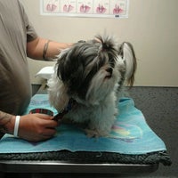 vca westside animal hospital