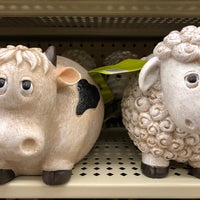 ross delta shores application