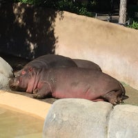 Photo taken at Hippos by Kasey H. on 2/11/2016