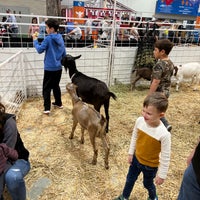 Photo taken at Houston Livestock Show and Rodeo by Jonathan S. on 3/19/2022