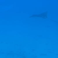 Foto tirada no(a) Atlantis Submarines Maui por Maggie C. em 11/30/2021