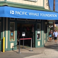 Photo taken at Pacific Whale Foundation by Charles N. on 7/19/2017