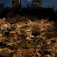 Photo taken at Tokyo Midtown Lawn Square by bookslope on 3/27/2023