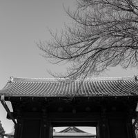 Photo taken at 寛永寺 輪王殿 by bookslope on 2/23/2022