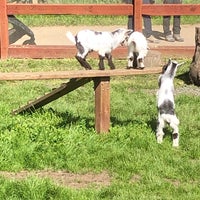 Deer Hollow Farm 5 Tips From 687 Visitors