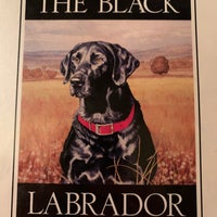 Photo taken at The Black Labrador by Tim R. on 12/2/2019