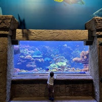 Foto tirada no(a) Long Island Aquarium &amp;amp; Exhibition Center (Atlantis Marine World) por John S. em 2/19/2024