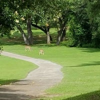Photo taken at Lions Municipal Golf Course by Diane L. on 5/29/2016