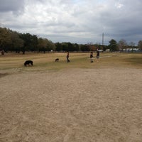 Photo taken at Dog Park by Georgeg100 on 11/23/2012