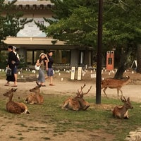Photo taken at Nara Park by リジス on 8/8/2015