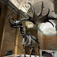 Photo taken at Natural History Museum by iLKE on 4/12/2024