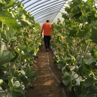 フォレストパーク メロンの森 1 Tip From 94 Visitors