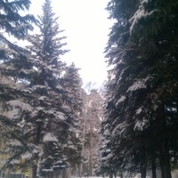 Photo taken at Санаторий Васильевский by papadoc on 12/2/2015