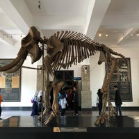 Foto scattata a Museum Geologi da Haritso il 9/24/2018