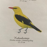 Photo taken at Kuhankeittäjän kortteli (no. 158) by Rasmus S. on 9/3/2017