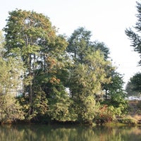 Photo taken at Duwamish Hill Preserve by David T. on 9/20/2012