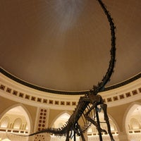 Photo taken at DubaiDino by Andрей on 1/15/2023