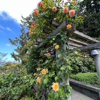 Photo taken at UBC Rose Garden by Elton C. on 5/28/2023