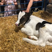 Photo taken at Miracle Of Birth Center by Katie on 8/31/2019