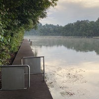 Photo taken at MacRitchie Reservoir by Kelvin A. on 8/18/2021