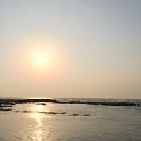 龍宮島 下田市 静岡県