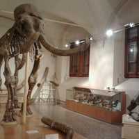 Снимок сделан в Museo di Storia Naturale, Sezione di Geologia e Paleontologia пользователем Stefano M. 11/3/2012