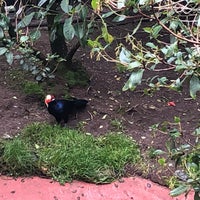 Photo taken at African Aviary by Captain B. on 10/7/2019