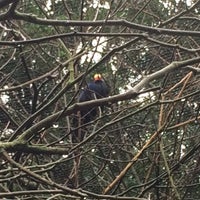 Photo taken at African Aviary by Captain B. on 2/14/2018