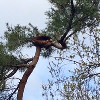 Photo taken at Red Panda by Captain B. on 4/9/2019