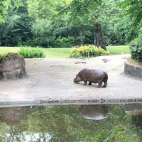 Photo taken at Hippo Pool by Captain B. on 7/9/2019