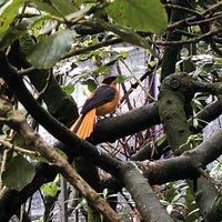 Photo taken at African Aviary by Captain B. on 5/14/2019