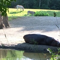 Photo taken at Hippo Pool by Captain B. on 5/24/2018