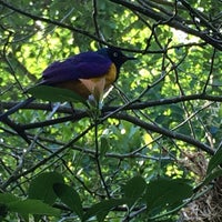 Photo taken at African Aviary by Captain B. on 5/31/2018