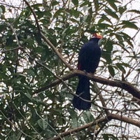 Photo taken at African Aviary by Captain B. on 2/19/2019
