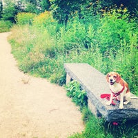 Photo taken at Fresh Pond Reservation by Lizzy F. on 7/9/2013