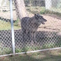 Photo taken at Alabama Gulf Coast Zoo by Timothy S. on 12/12/2015