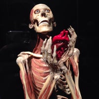 Photo taken at Body Worlds: The Original Exhibition by Joel on 8/27/2013