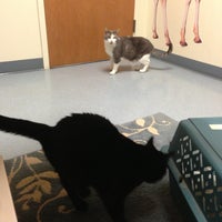 Photo taken at Lien Animal Clinic by Joel on 3/19/2013